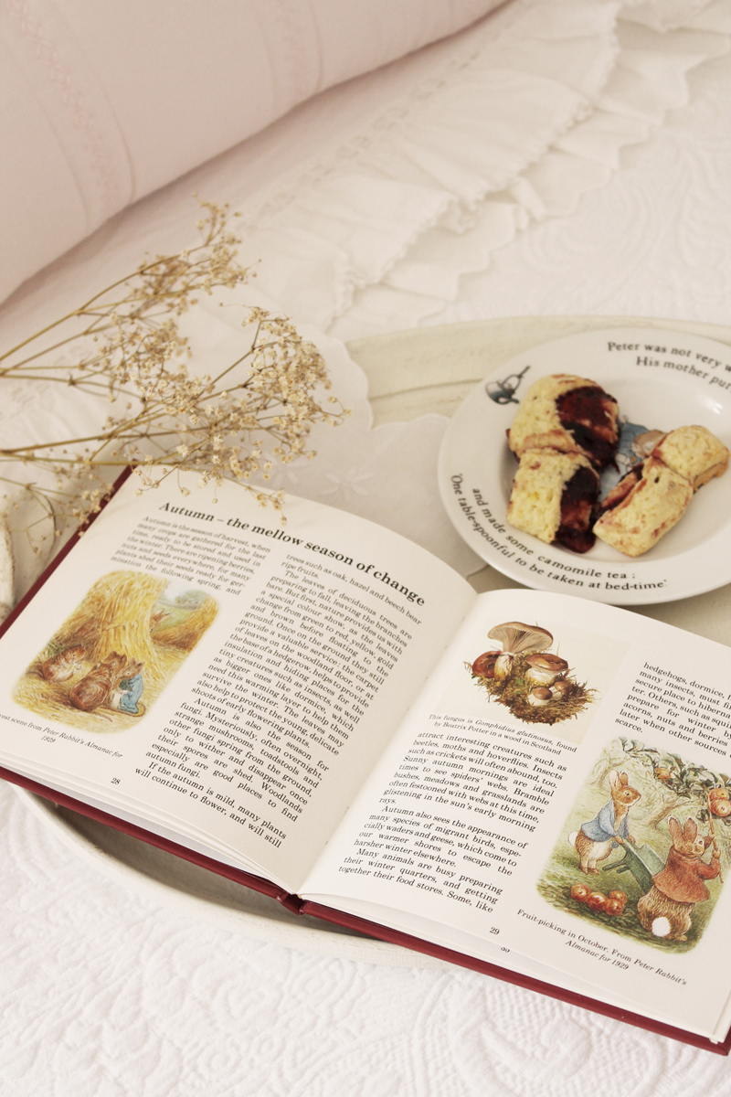 beatrix potter’s countryside book