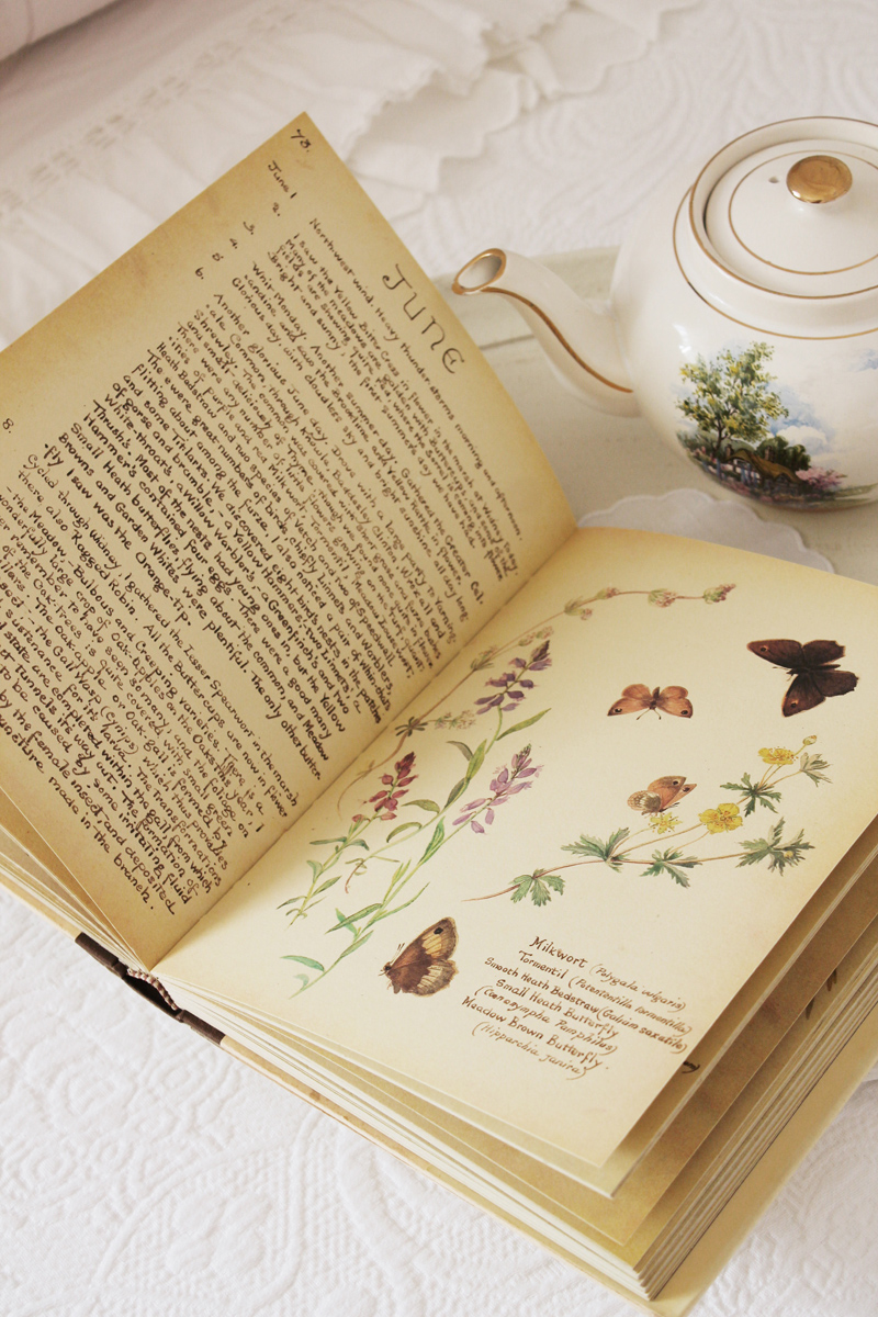 the country diary of an edwardian lady vintage edwardian book